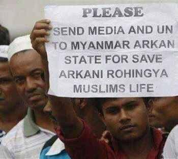 rohingya