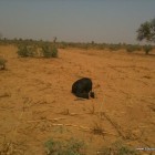 Un autre espace de prière au milieu du desert nigérien